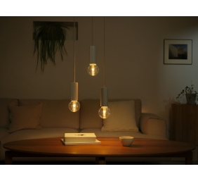 Philips Hue WCA Lightguide G95 | E27 | 6.8 W | White and colour light