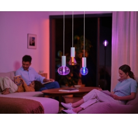 Philips Hue WCA Lightguide G95 | E27 | 6.8 W | White and colour light