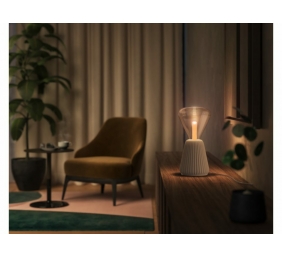 Philips Hue WCA Lightguide Triangle | E27 | 6.8 W | White and colour light