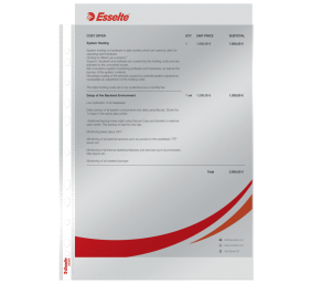 Įmautės Esselte, A4, 55 mikr., blizgios (100)  0809-107