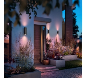 Philips Hue WCA Appear Outdoor Wall Lantern, Black | 8 W | 2000-6500 Hue White Colour Ambiance
