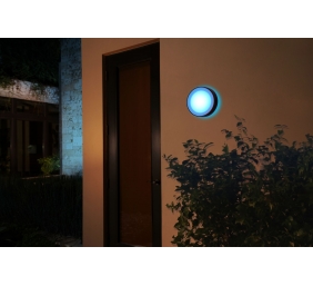 Philips Hue WCA Daylo Outdoor Wall Lantern, Black | 15 W | 2000-6500 Hue White Colour Ambiance