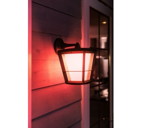Philips Hue WCA Econic Outdoor Wall Lantern | 15 W | 2000-6500 Hue White Colour Ambiance