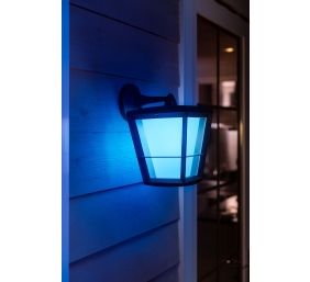 Philips Hue WCA Econic Outdoor Wall Lantern | 15 W | 2000-6500 Hue White Colour Ambiance