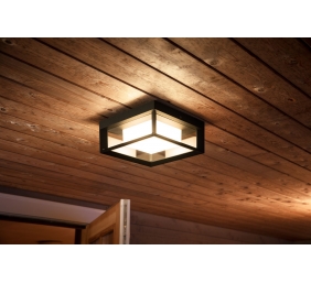 Philips Hue WCA Econic Outdoor Square Wall Lantern | 15 W | 2000-6500 Hue White Colour Ambiance