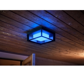 Philips Hue WCA Econic Outdoor Square Wall Lantern | 15 W | 2000-6500 Hue White Colour Ambiance