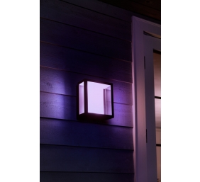 Philips Hue WCA Impress Outdoor Wall Large Lantern | 8 W | 2000-6500 Hue White Colour Ambiance