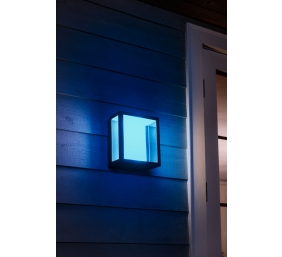 Philips Hue WCA Impress Outdoor Wall Large Lantern | 8 W | 2000-6500 Hue White Colour Ambiance