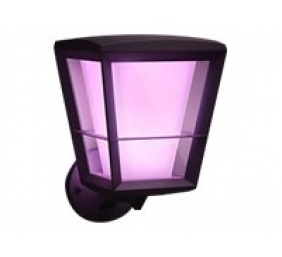 Philips Hue WCA Econic Outdoor Wall Lantern Up | 15 W | 2000-6500 Hue White Colour Ambiance