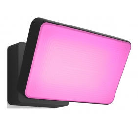 Philips Hue WCA Discover Outdoor Floodlight | 2000-6500 Hue White Colour Ambiance
