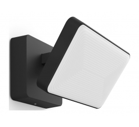 Philips Hue WCA Discover Outdoor Floodlight | 2000-6500 Hue White Colour Ambiance