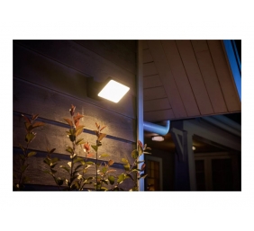 Philips Hue WCA Discover Outdoor Floodlight | 2000-6500 Hue White Colour Ambiance