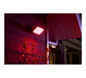 Philips Hue WCA Discover Outdoor Floodlight | 2000-6500 Hue White Colour Ambiance