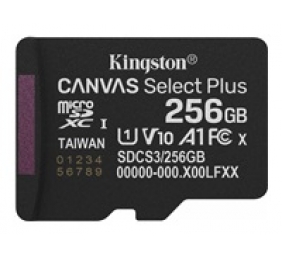 KINGSTON 256GB micSDXC Canvas Select