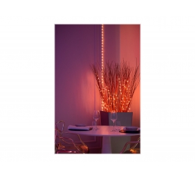 Twinkly|Dots Smart LED Lights 60 RGB (Multicolor), USB Powered, 3m, Transparent|RGB – 16M+ colors