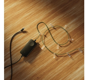 Twinkly Candies 100 Candle-shaped RGB LEDs, USB-C|Green Wire