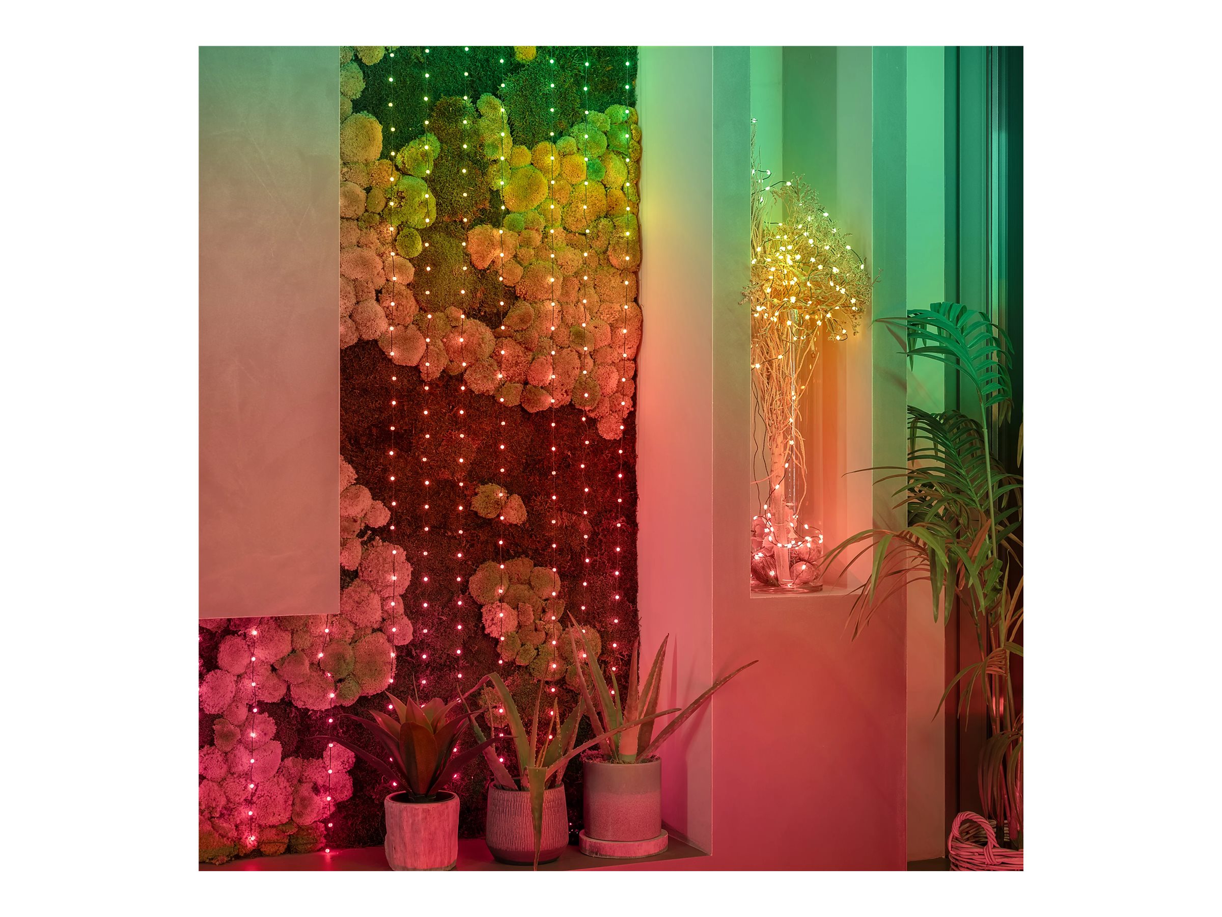 Twinkly Candies 200 Pearl-shaped RGB LEDs, Green Wire, USB-C
