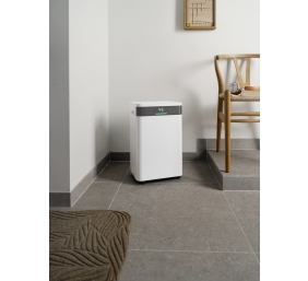 Mill Dehumidifier | MDH20 | Suitable for rooms up to 20-30 m² | Water tank capacity 4 L | White