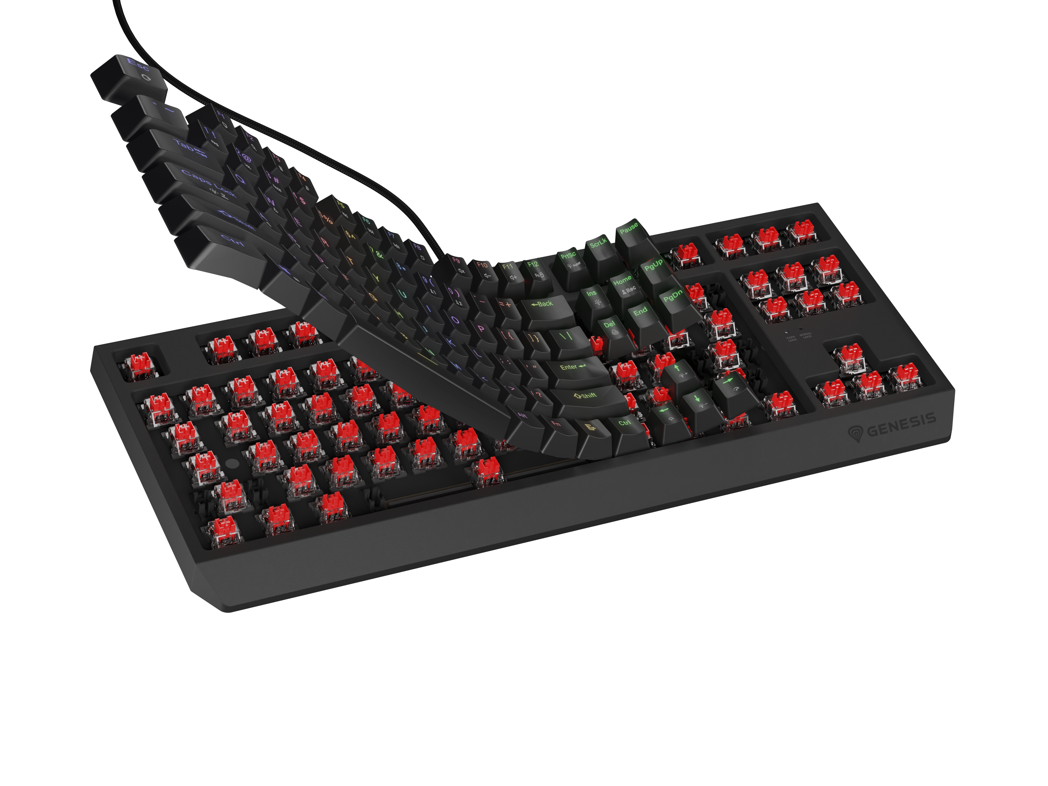 Genesis THOR 230 TKL | Mechanical Gaming Keyboard | Wired | US | Black | USB Type-A | Linear
