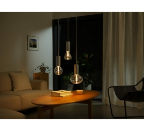 Philips Hue WCA Lightguide G125 | E27 | 6.8 W | White and colour light