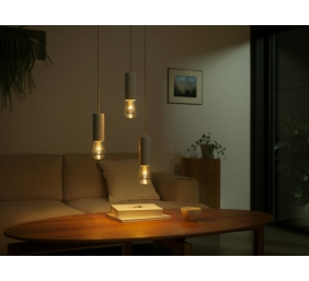 Philips Hue WCA Lightguide ST72 | E27 | 6.8 W | White and colour light