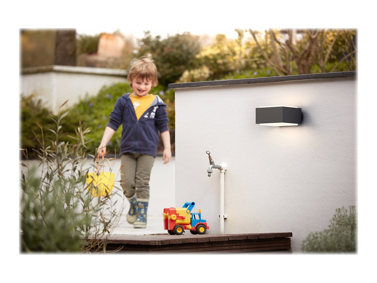 HEDGEHOG WALL LANTERN ANTHRACITE 1X42W | Philips