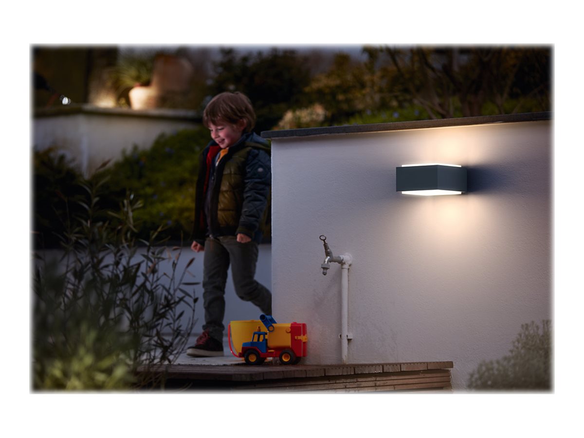 HEDGEHOG WALL LANTERN ANTHRACITE 1X42W | Philips