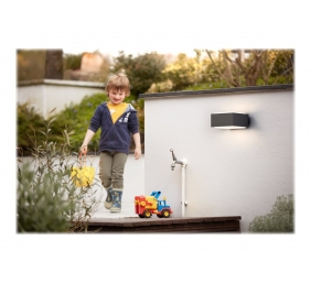 HEDGEHOG WALL LANTERN ANTHRACITE 1X42W | Philips
