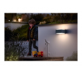 HEDGEHOG WALL LANTERN ANTHRACITE 1X42W | Philips