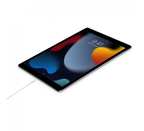 Apple USB-C Male į Lightning Male Kabelis 1m, Balta