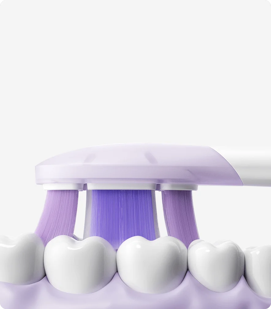 Xiaomi Oscillation Electric Toothbrush Replacement Heads (Soft) | Xiaomi