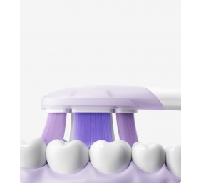 Xiaomi Oscillation Electric Toothbrush Replacement Heads (Soft) | Xiaomi