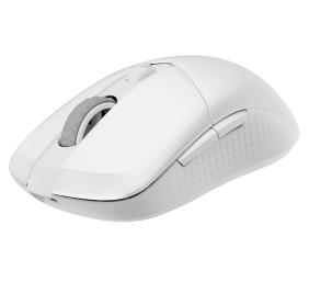 MSI VERSA 300 WIRELESS WHITE | Wireless | 2.4 GHz, Bluetooth, USB 2.0