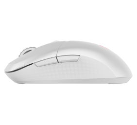 MSI VERSA 300 WIRELESS WHITE | Wireless | 2.4 GHz, Bluetooth, USB 2.0