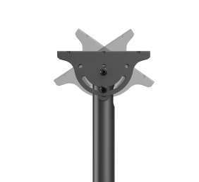 Neomounts CL35-340BL22 Dual Monitor/TV Mount Ceiling | Adjustable Height, Rotate, Tilt, Swivel | 23-42 " | Maximum weight (capacity) 45 kg | Black