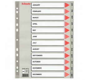 Skiriamieji lapai Esselte PP, A4, Jan.-Dec. mėnesiai, plastikiniai