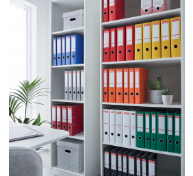 Segtuvas Esselte, A4/75 mm, ekonominis, pilkas  0802-007