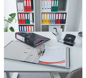 Segtuvas Esselte, A4/75 mm, ekonominis, vyšninis  0802-008