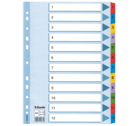 Skiriamieji lapai Esselte Mylar, A4, 1-12 skaičiai, spalvoti