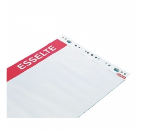 Konferencinis bloknotas Esselte, 59x80 cm, 60 g, baltas (50 lapų)