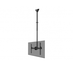 Neomounts CL35-440BL16L Monitor/TV Mount Ceiling | Adjustable Height, Rotate, Tilt, Swivel | 37-70 " | Maximum weight (capacity) 50 kg | Black