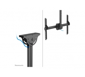 Neomounts CL35-440BL16L Monitor/TV Mount Ceiling | Adjustable Height, Rotate, Tilt, Swivel | 37-70 " | Maximum weight (capacity) 50 kg | Black