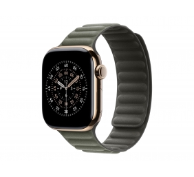 Apple 42mm Sage Gray Magnetic Link - S/M | Apple