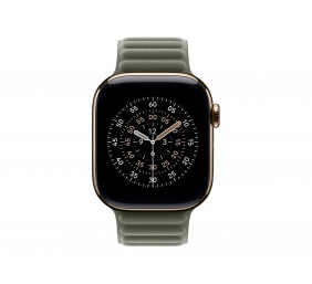 Apple 42mm Sage Gray Magnetic Link - S/M | Apple