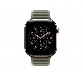 Apple 46mm Sage Gray Magnetic Link - S/M | Apple