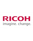 Ricoh B1219640 (B121-9640) Black Developer (SPEC)