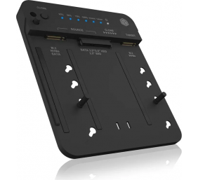 Raidsonic Icy Box Docking and Clone station for 2x M.2 NVMe SSD | IB-2913MCL-C31