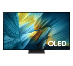 SAMSUNG TV OLED 55in QE55S95FATXXH