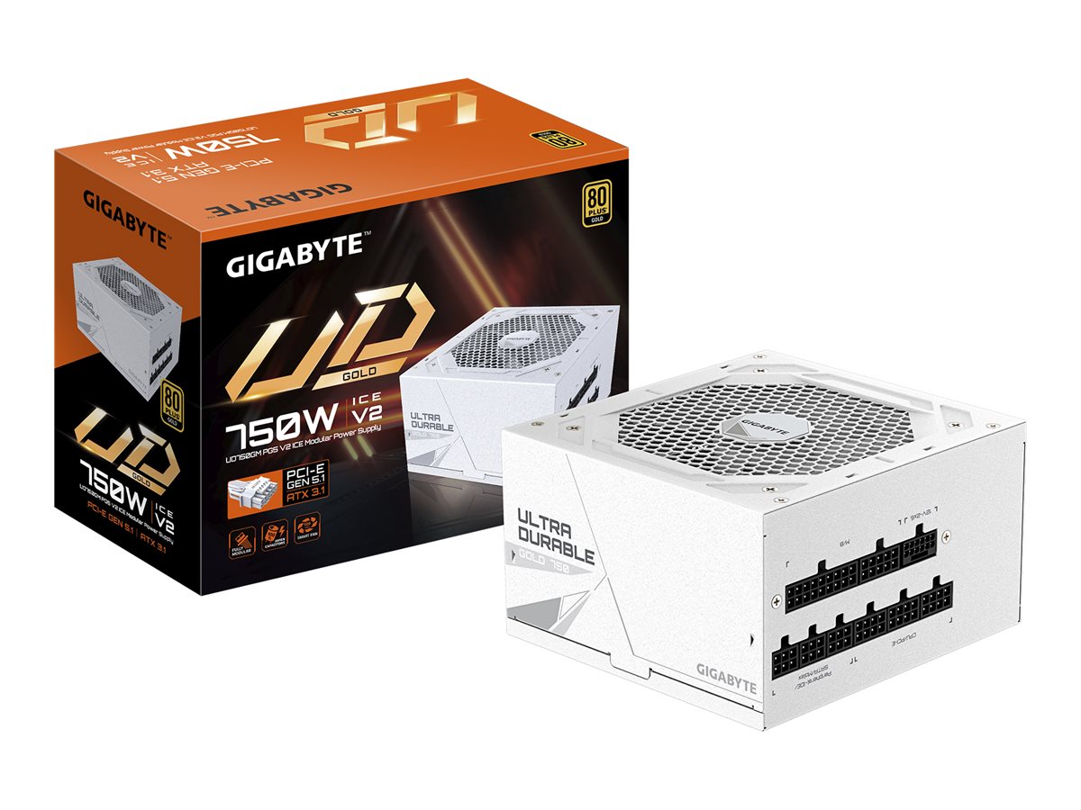 Gigabyte Power Supply | UD750GM PG5 V2 ICE | 750 W