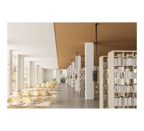 Neomounts CL35-440BL16XL Monitor/TV Mount Ceiling | Adjustable Height, Rotate, Tilt, Swivel | 37-70 " | Maximum weight (capacity) 50 kg | Black